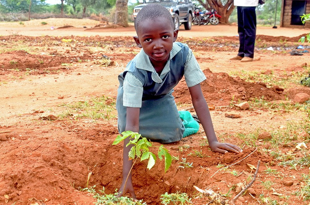 Kenialainen lapsi istuttaa puuntaimen.