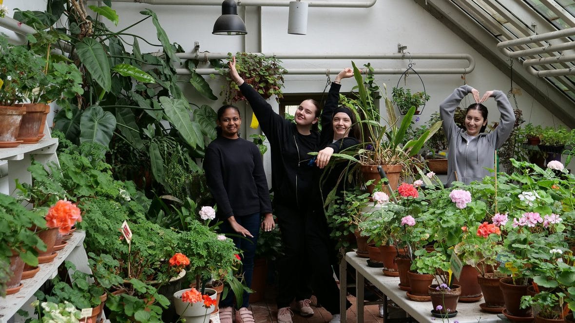 Nuoria kesätöissä kasvihuoneessa.