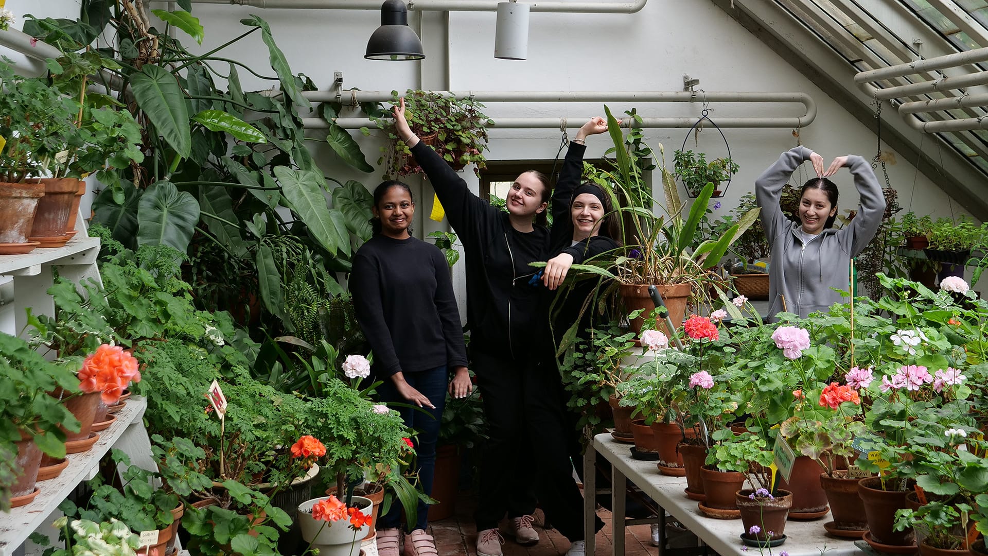 Nuoria kesätöissä kasvihuoneessa.